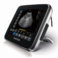 Veterinary Ultrasound Color Doppler Laptop Touchscreen